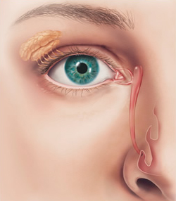 Obstrução de vias lacrimais: entenda o problema - Oftalmologia em Belo Horizonte | DUO Oftalmologia e Plástica Ocular