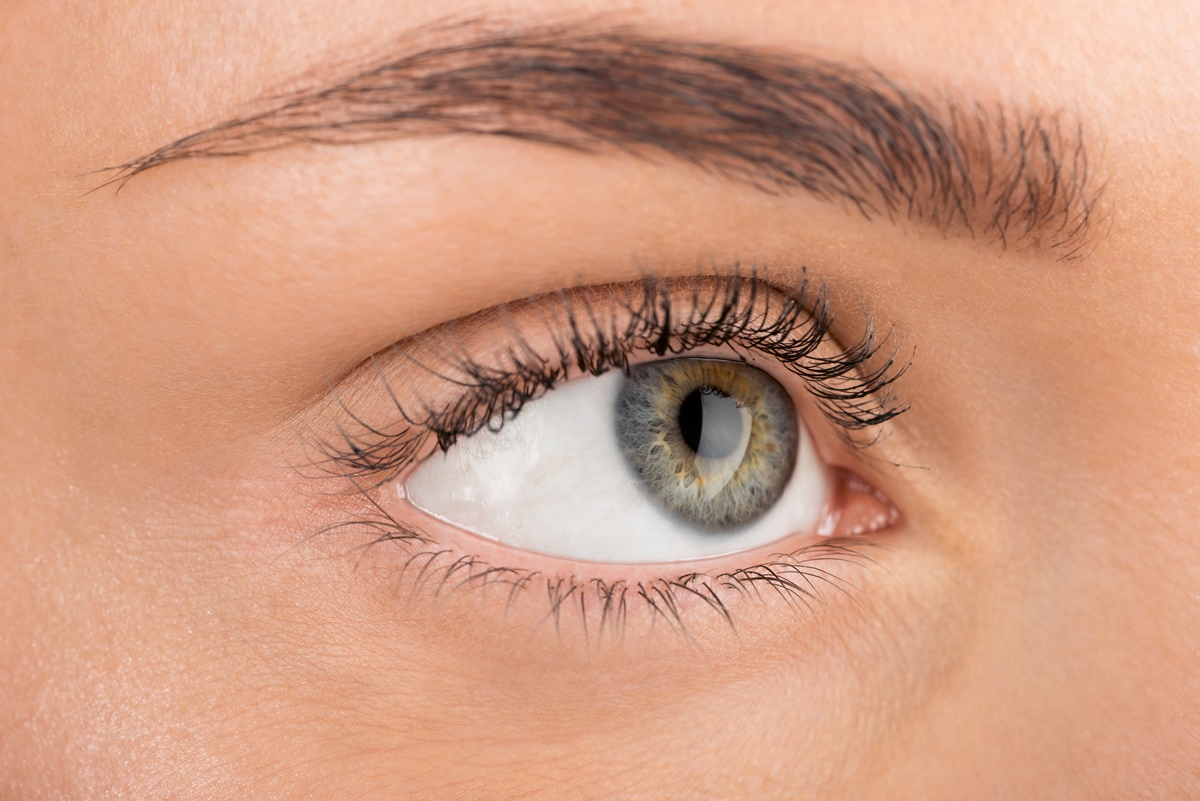 Doença da artéria carótida: como ela afeta a saúde ocular?